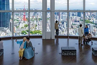 Observatory Deck